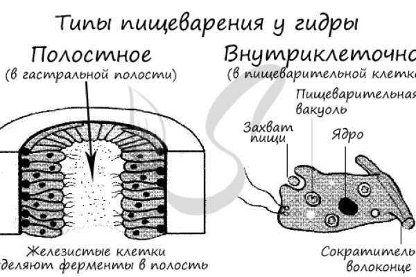Кракен как попасть