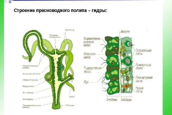 Кракен маркет только через тор скачать