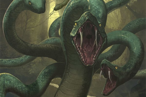 2kr pro kraken