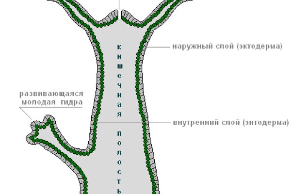 Кракен рабочая ссылка