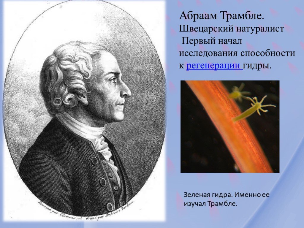 Актуальные ссылки кракен 2025